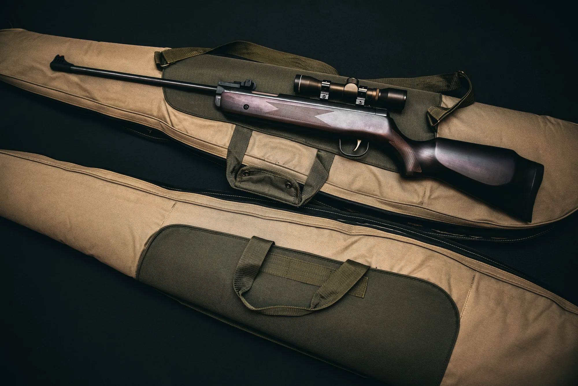Can My Moving Company Move My Firearms Across State Lines?
